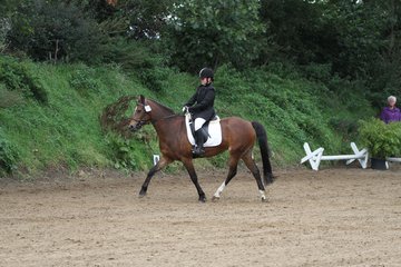 Bild 881 - WBO-Turnier am 18.9.11